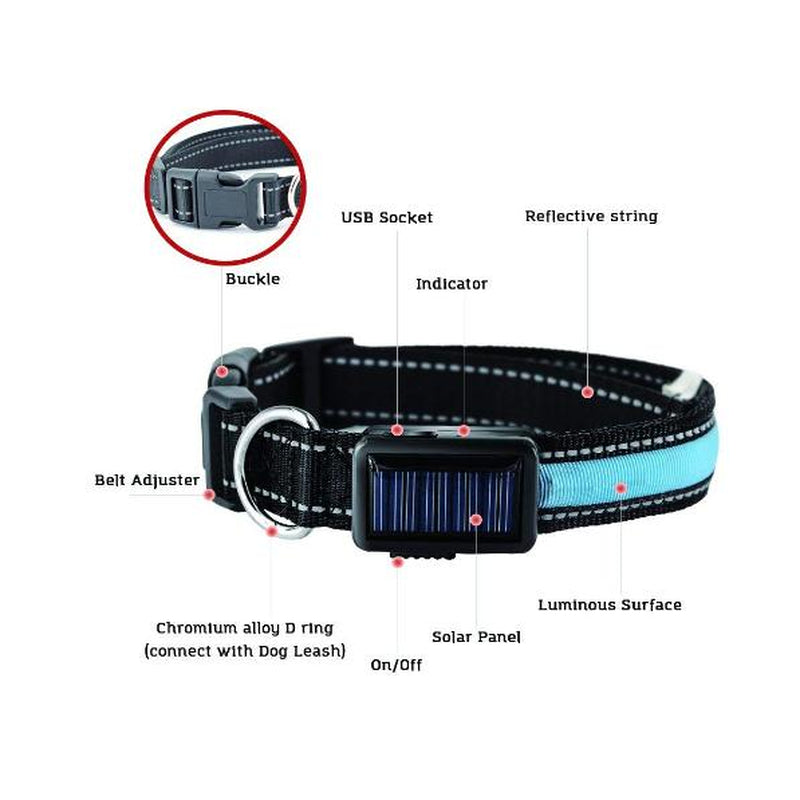 Reflective Led Dog Collar - Solar/Usb Charging, High Quality Nylon, Two Light Modes