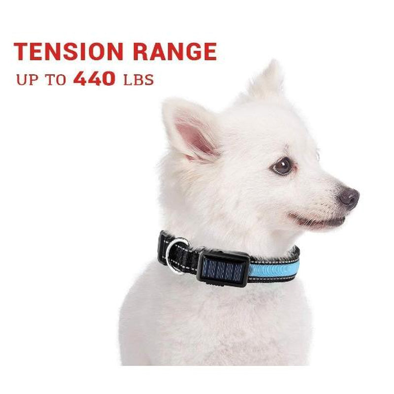 Reflective Led Dog Collar - Solar/Usb Charging, High Quality Nylon, Two Light Modes