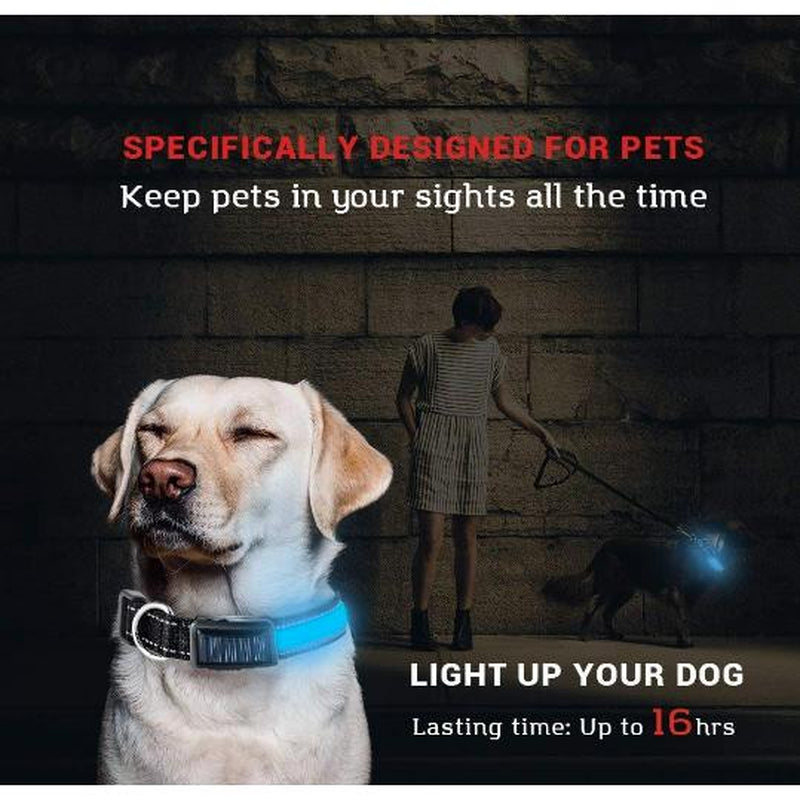 Reflective Led Dog Collar - Solar/Usb Charging, High Quality Nylon, Two Light Modes