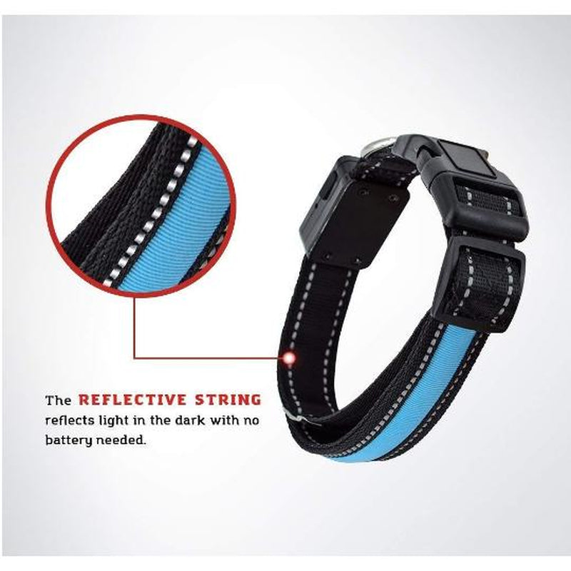 Reflective Led Dog Collar - Solar/Usb Charging, High Quality Nylon, Two Light Modes