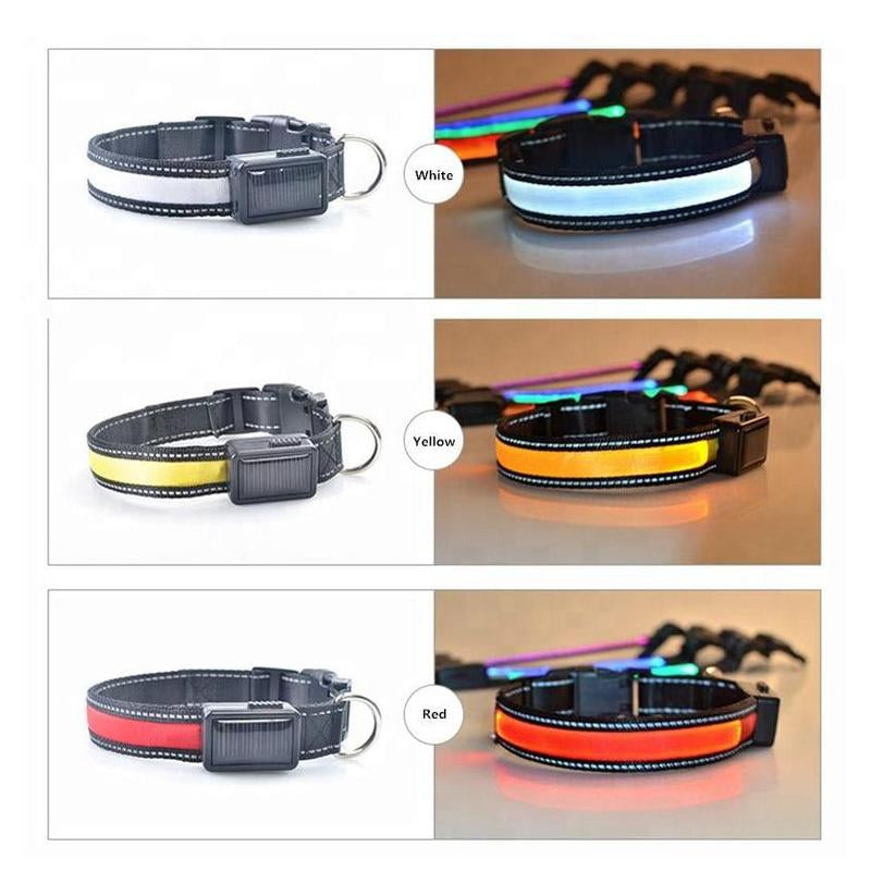 Reflective Led Dog Collar - Solar/Usb Charging, High Quality Nylon, Two Light Modes