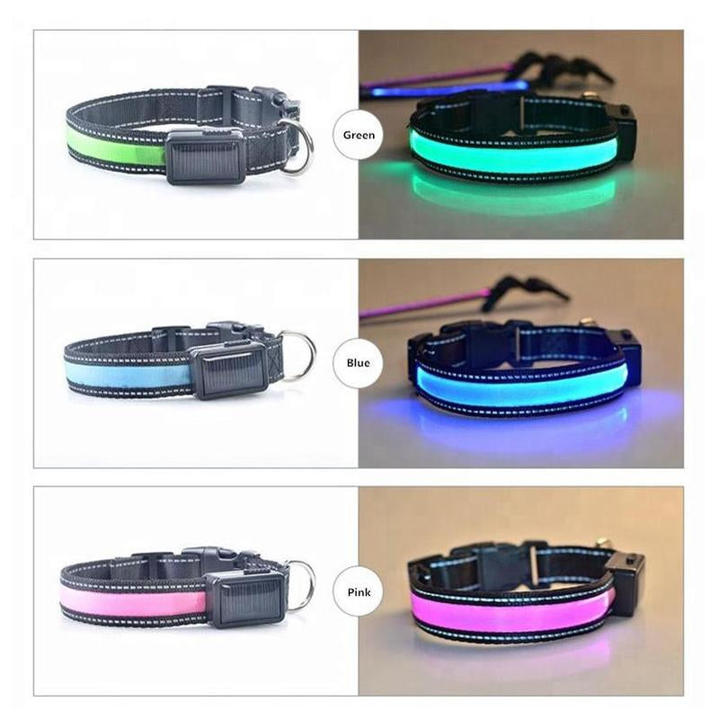 Reflective Led Dog Collar - Solar/Usb Charging, High Quality Nylon, Two Light Modes