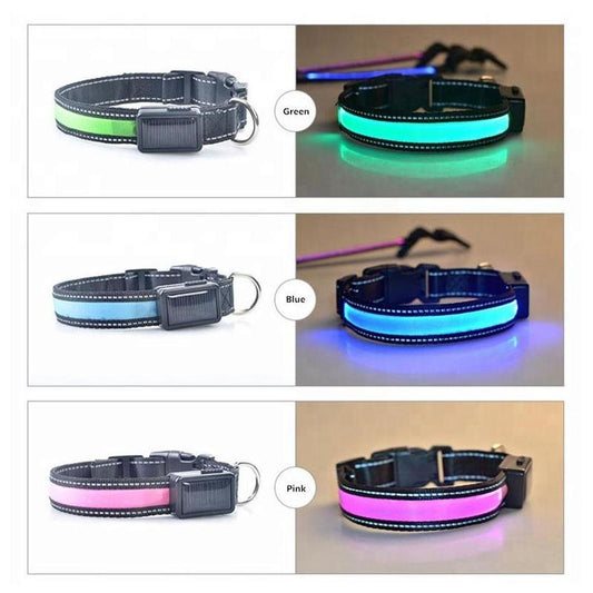 Reflective Led Dog Collar - Solar/Usb Charging, High Quality Nylon, Two Light Modes