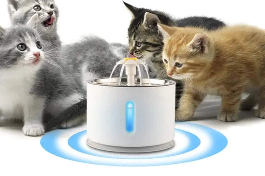 Automatic Pet Water Fountain